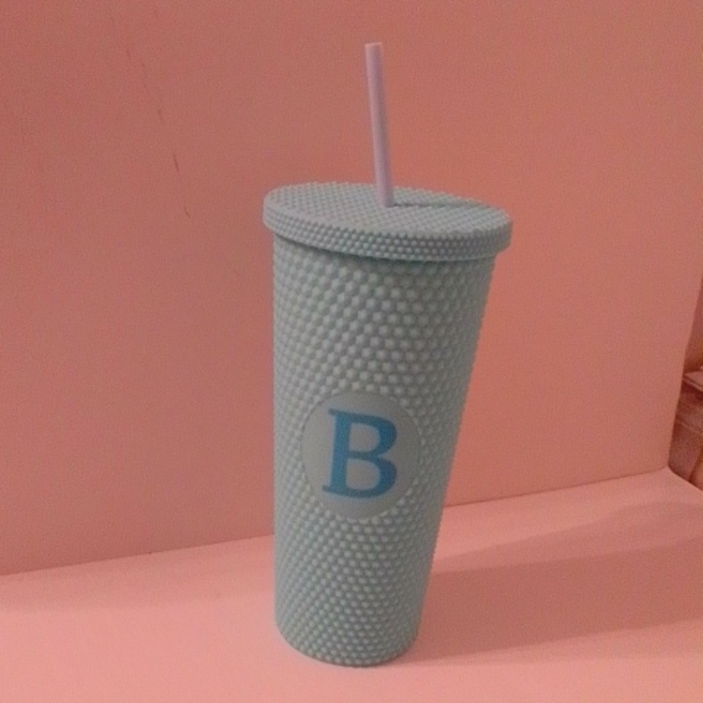 NWOT  Studded Matte Mint Tumbler